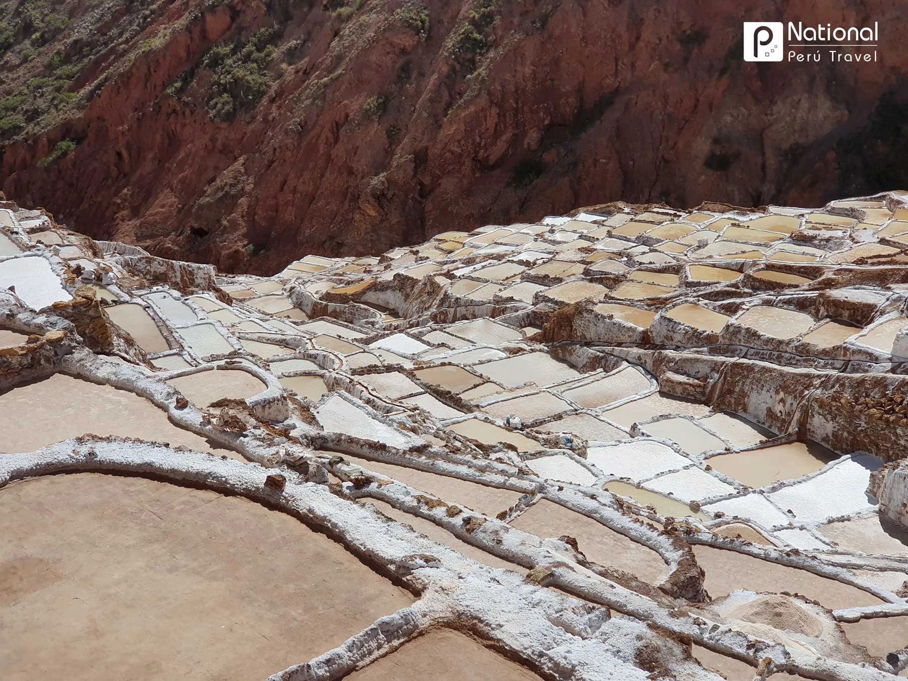 Maras & Moray