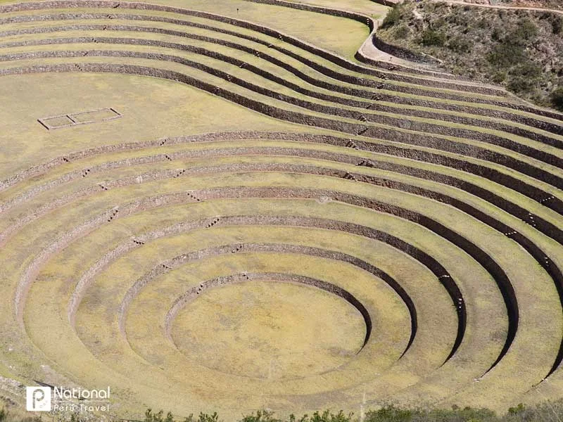 Maras & Moray